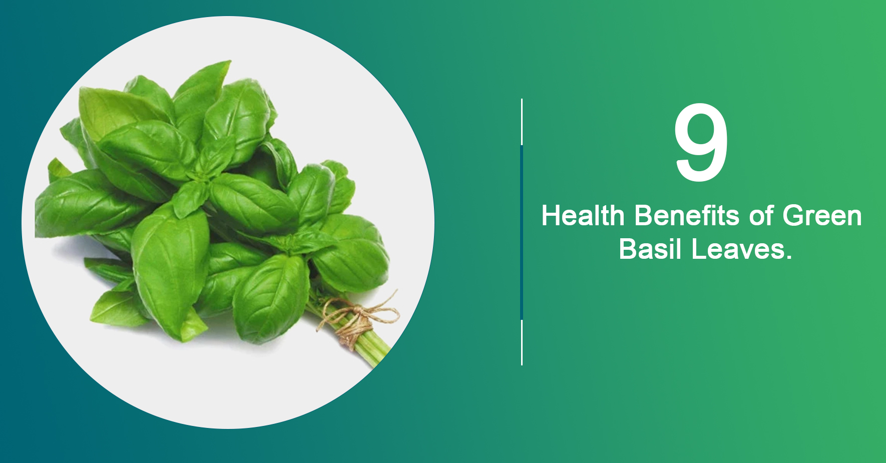 9 Health Benefits of Green Basil Leaves